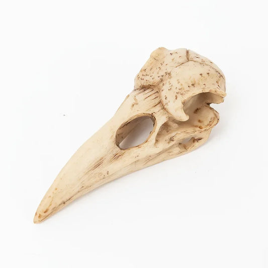 Crow Skull Sculpture