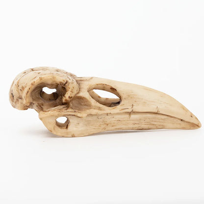 Crow Skull Sculpture