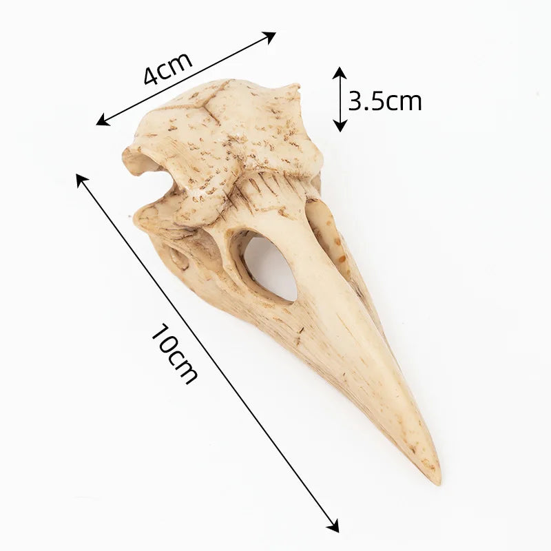 Crow Skull Sculpture